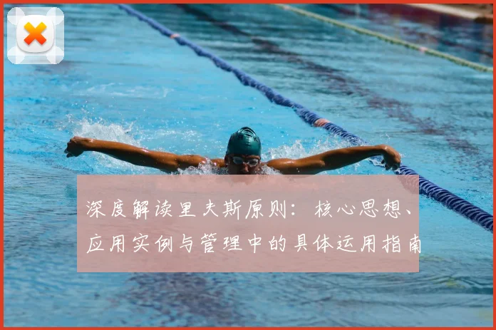 深度解读里夫斯原则：核心思想、应用实例与管理中的具体运用指南