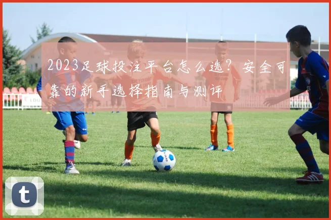 2023足球投注平台怎么选？安全可靠的新手选择指南与测评