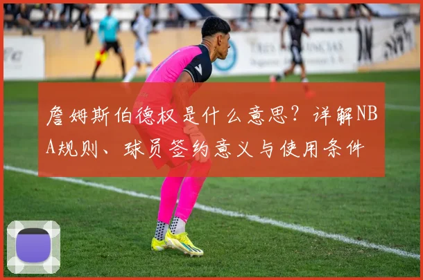 詹姆斯伯德权是什么意思？详解NBA规则、球员签约意义与使用条件